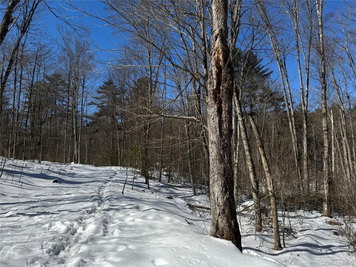 Lot 32 Woodstone Trail, Bethel, NY 12720 - #1