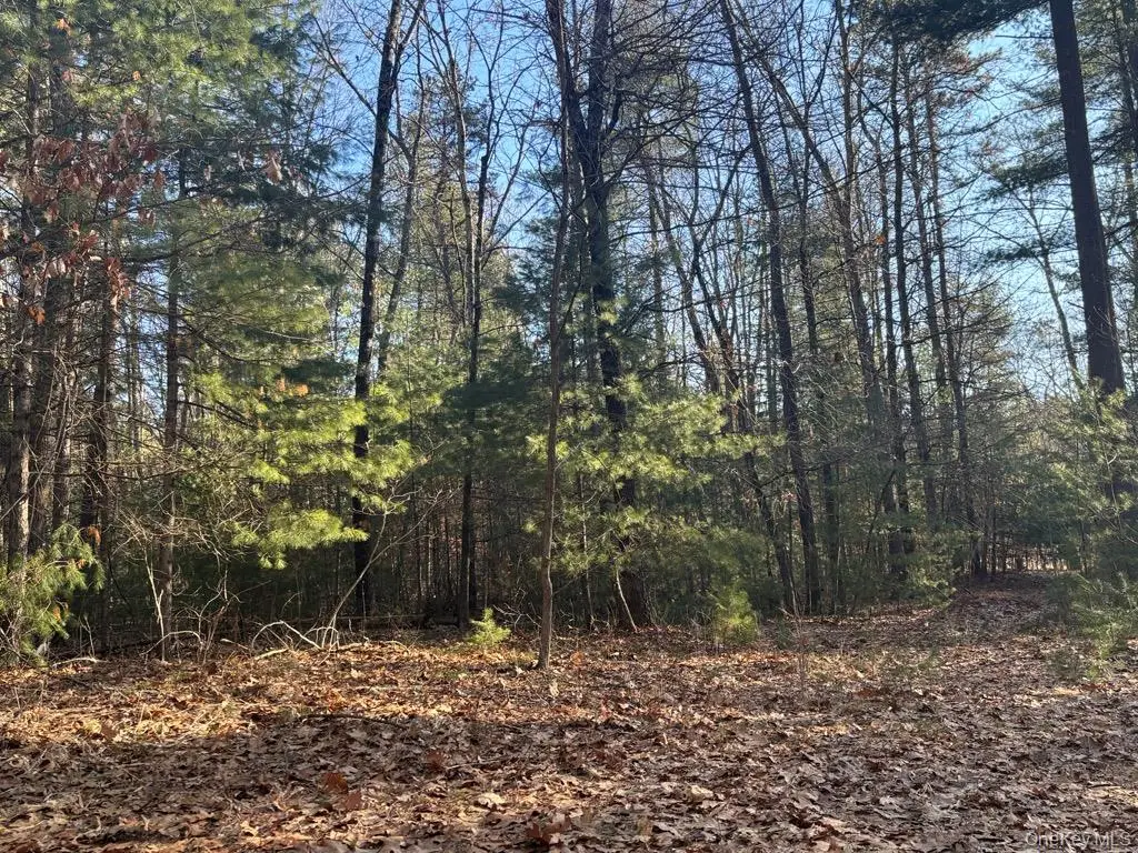 1 Avenue B, Godeffroy, NY 12729 - #1