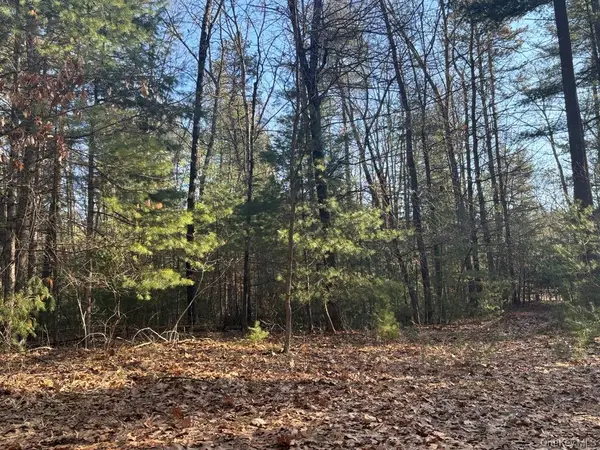 1 Avenue B, Godeffroy, NY 12729