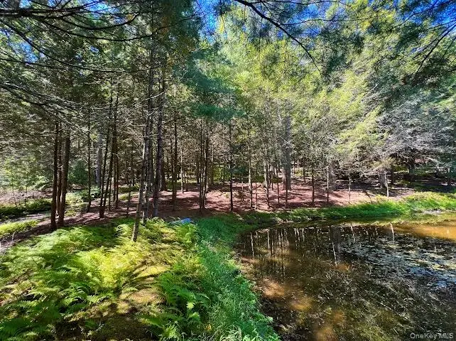 Swanerbury Road, Pond Eddy, NY 12737 - #3