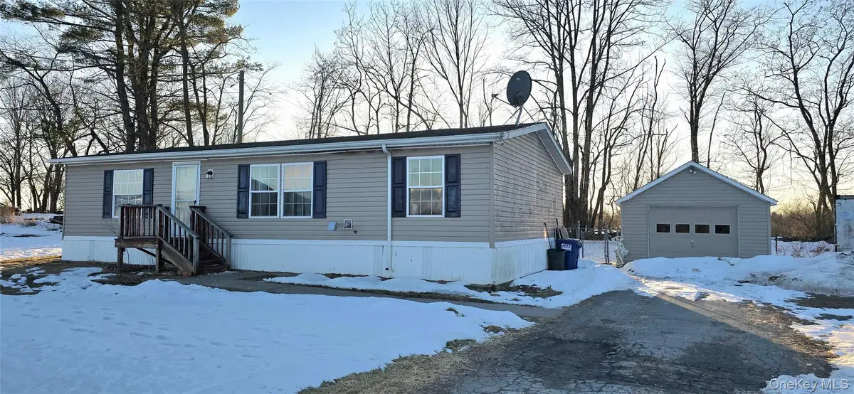 325 Mueller Road, Cochecton, NY 12726 - #1