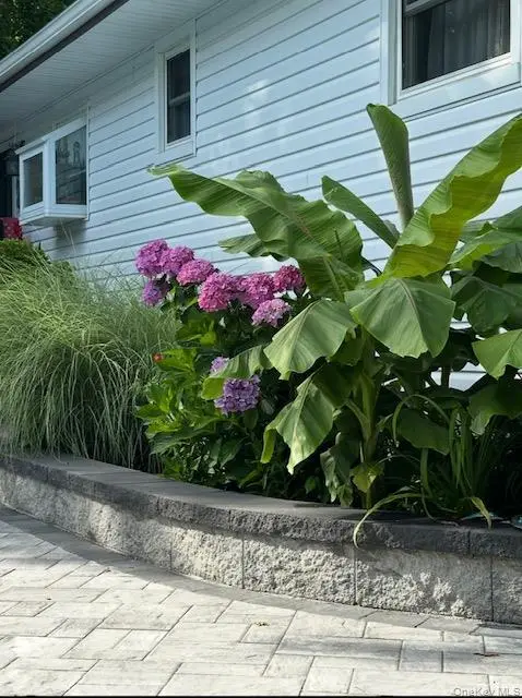 19 Hallock Court, Miller Place, NY 11764 - #3