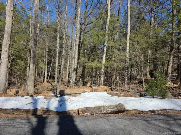 Gregory Road, Monticello, NY 12701