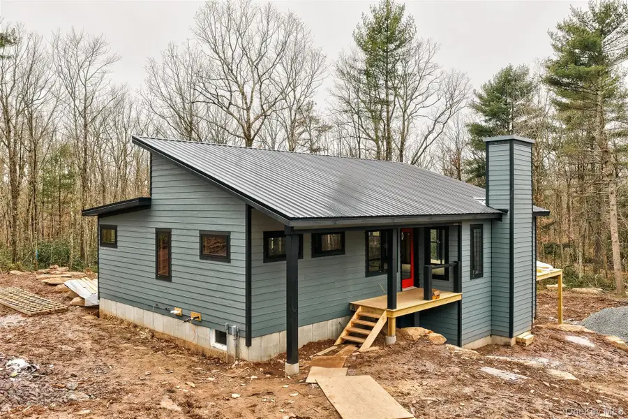 TBD Perry Pond Road, Narrowsburg, NY 12764 - #3