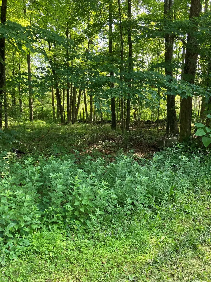 15 Adam Wagner Lane, Mahopac, NY 10541 - #3