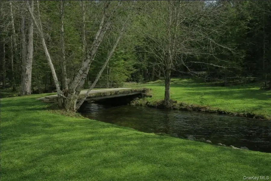 698 Cooley Road, Parksville, NY 12768 - #2