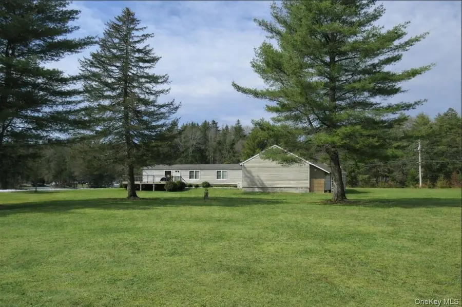 698 Cooley Road, Parksville, NY 12768 - #3