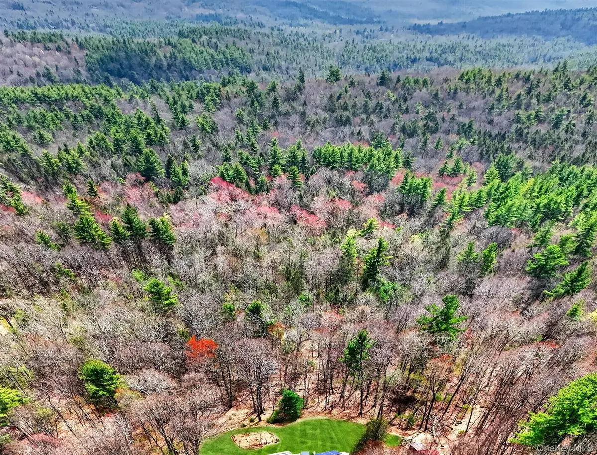 Kelder Road, Olivebridge, NY 12461 - #1