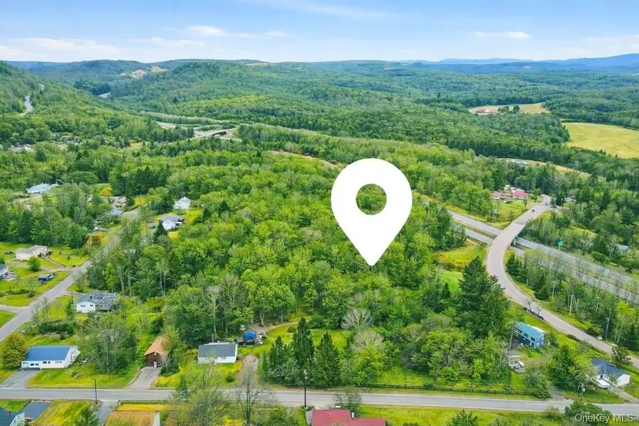 California Avenue, Liberty, NY 12754 - #2