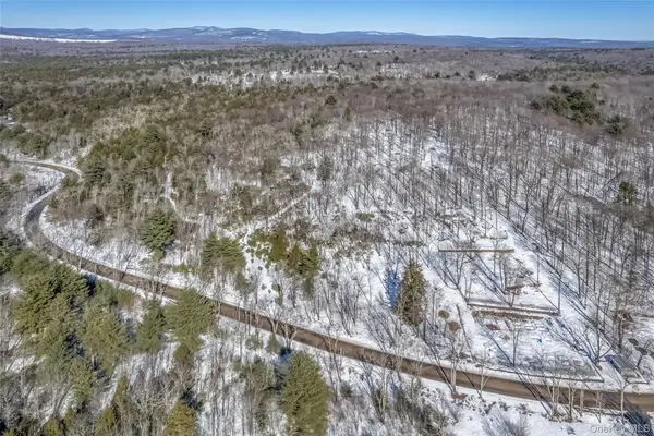 Camp Road, Ellenville, NY 12489