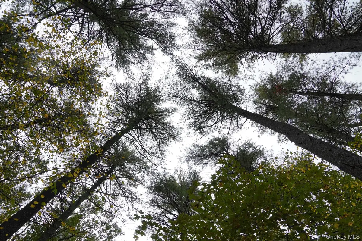 19 Stoutenburgh Drive, Hyde Park, NY 12538 - #1