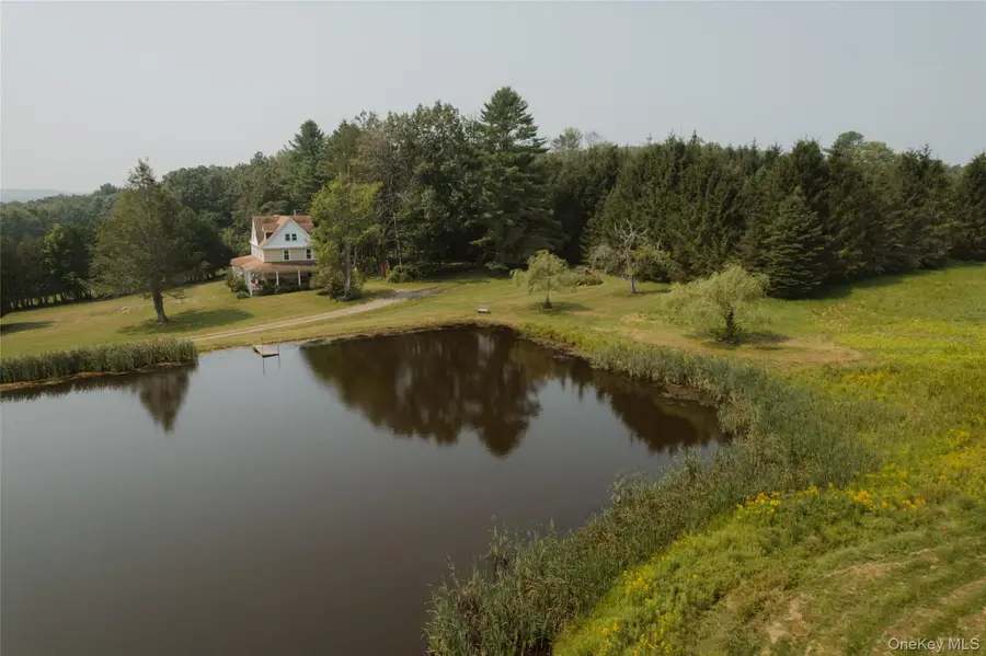 91 Old Hankins Road, Callicoon, NY 12723 - #2