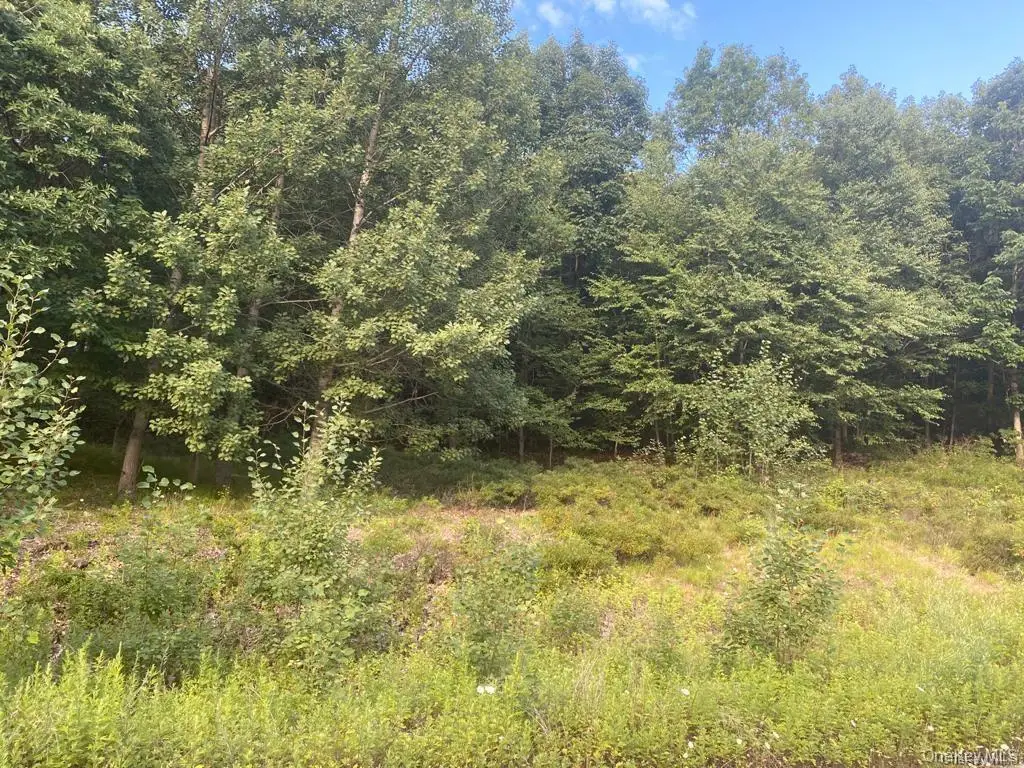 19 N Ridge Road, Pomona, NY 10970 - #1