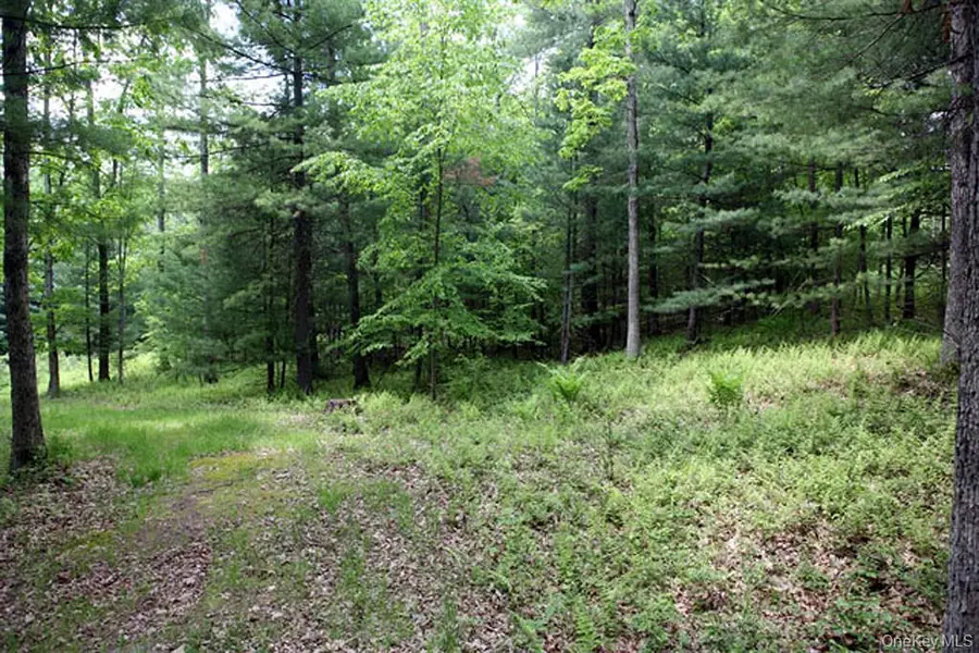 Country Road, Callicoon, NY 12723 - #2