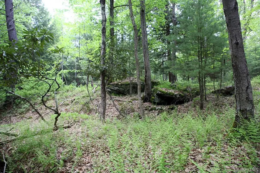 0 Neighborhood Road, Shirley, NY 11967 - #3