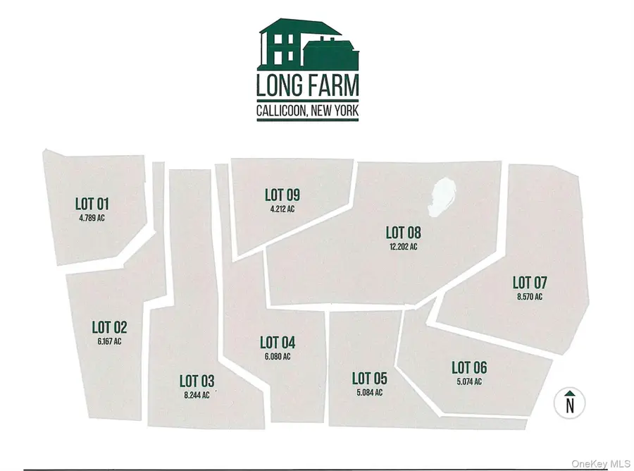 356 Gabel Road, Callicoon, NY 12723 - #3