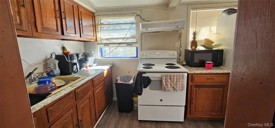 8 Central Avenue, White Lake, NY 12786 - #2