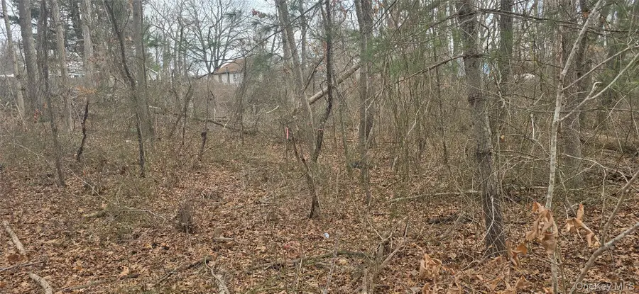 VL Bedford Lots 46&47 Avenue, Mastic, NY 11950 - #2