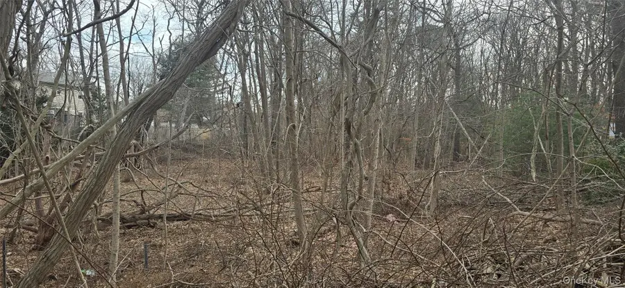 VL Bedford Lots 46&47 Avenue, Mastic, NY 11950 - #3