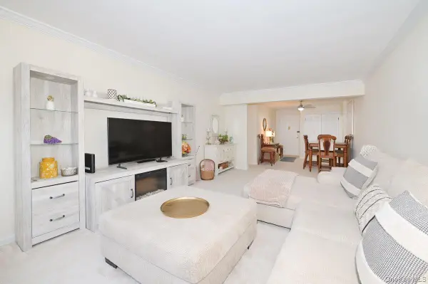 4 Birchwood Court #1O, Mineola, NY 11501