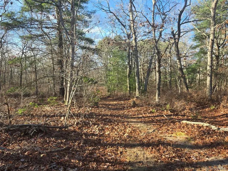 68 Big Fresh Pond Road, Southampton, NY 11968 - #3