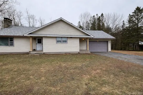 130 Bushville Swan Lake Road, Ferndale, NY 12734