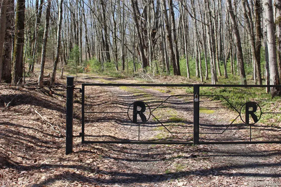 154 Britman Road, Mongaup Valley, NY 12762 - #3