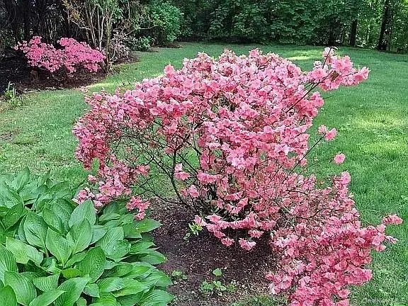 64 Alpine Road, Yonkers, NY 10710 - #2