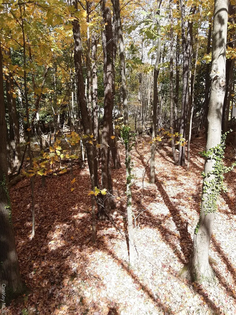 Woodland Avenue N, Liberty, NY 12754 - #3