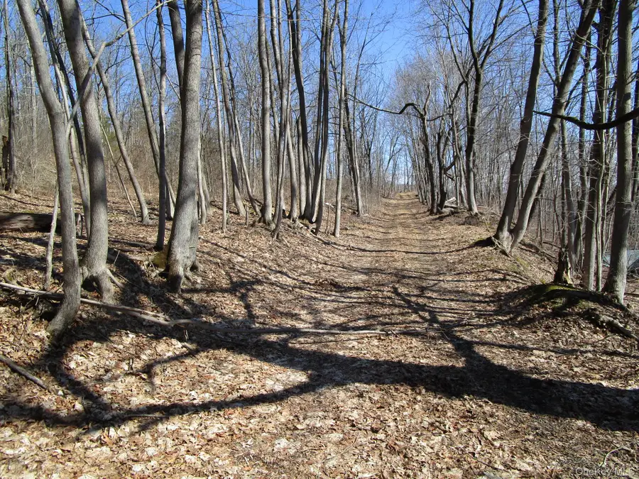 Co Rt 12, New Hampton, NY 10958 - #2