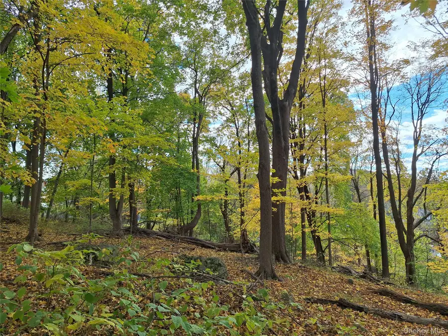 1 Wright Street, Newburgh, NY 12550 - #3