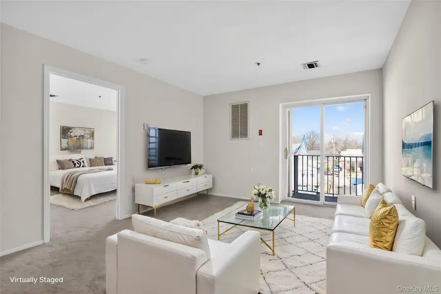 54 School Street #314, Westbury, NY 11590 - #2