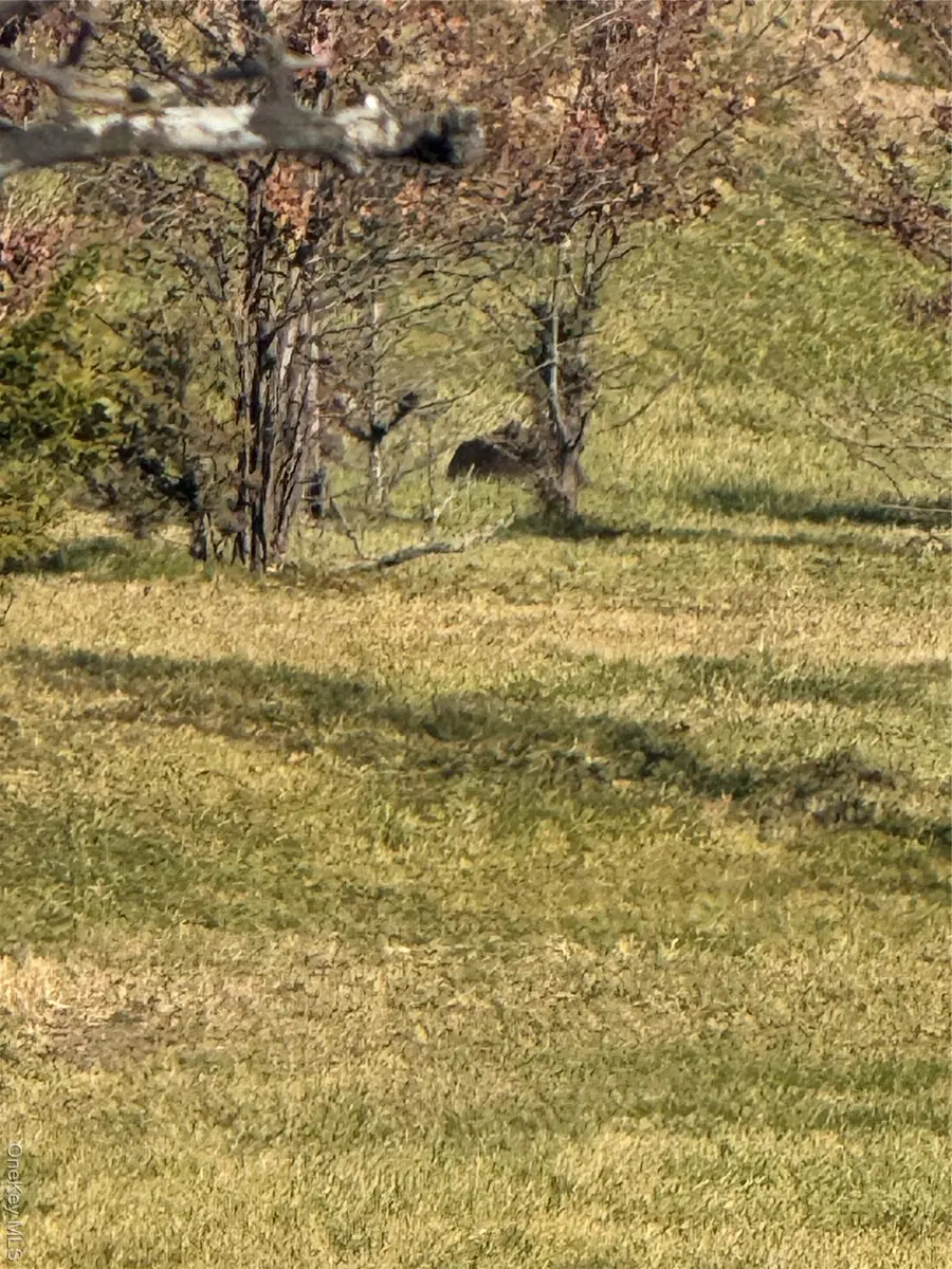 41 Enright Lane, Montgomery, NY 12549 - #3