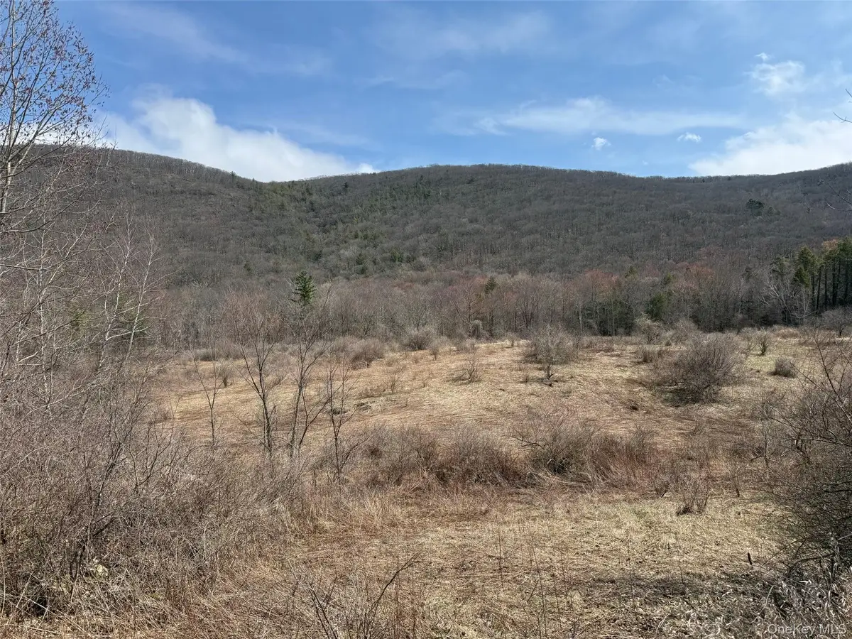 Lot # 3 Mountain Edge Lane, Millerton, NY 12546 - #1