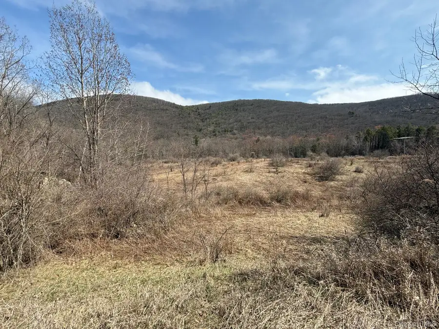 Lot # 3 Mountain Edge Lane, Millerton, NY 12546 - #3