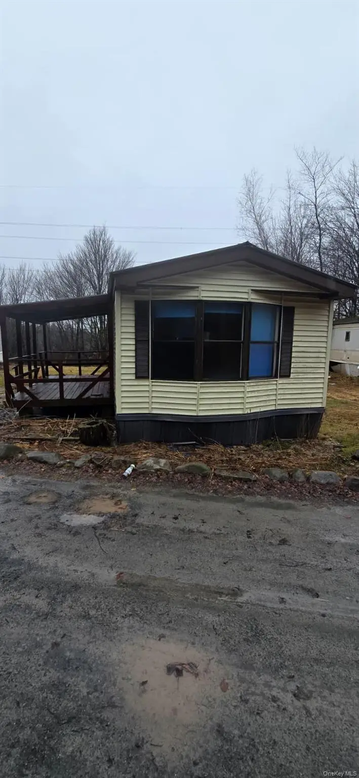 Cherry, Liberty, NY 12754 - #2