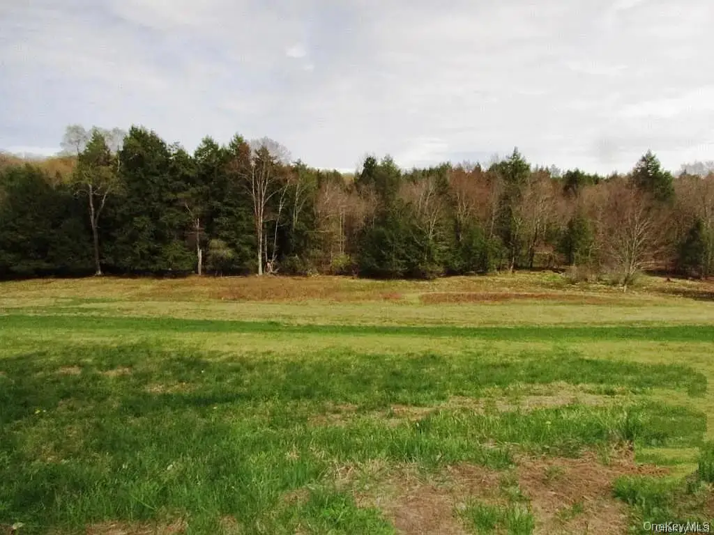 Hurd Road, Bethel, NY 12720 - #1