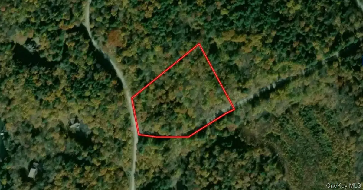 00 Kenoza Trail, Delaware, NY 12750 - #1