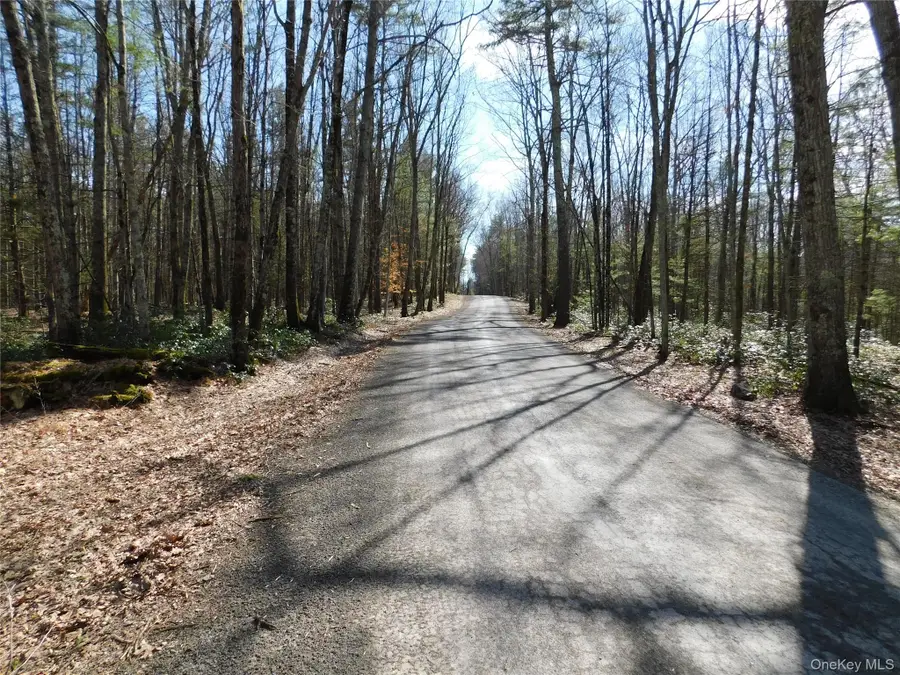 TBD Wright Rd, Kerhonkson, NY 12446 - #2