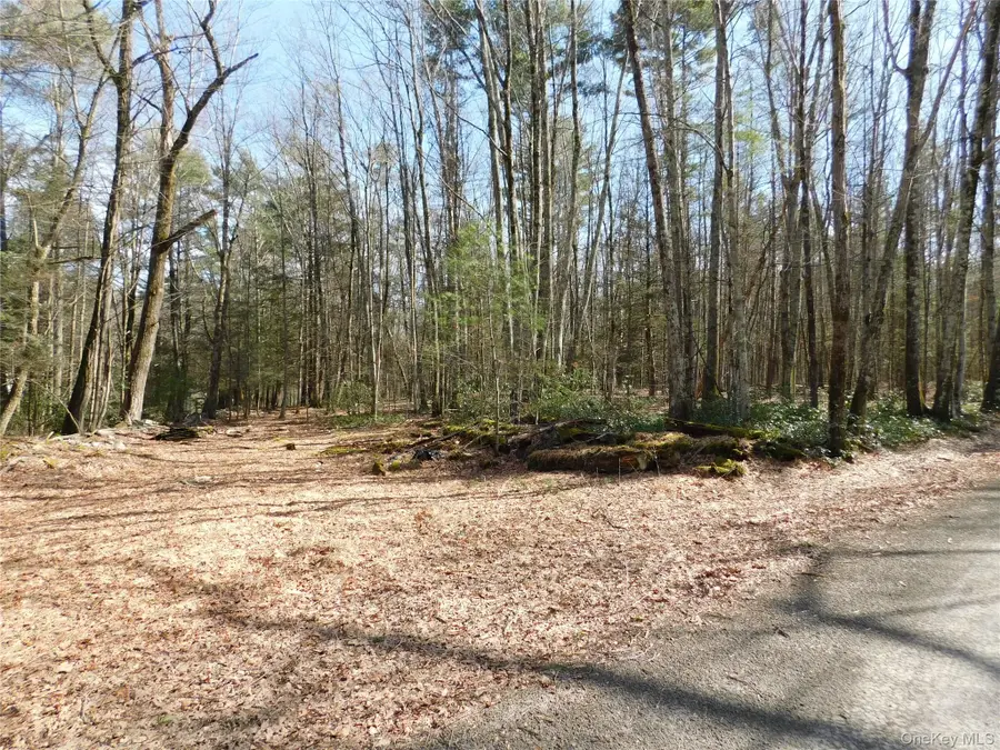 TBD Wright Rd, Kerhonkson, NY 12446 - #3