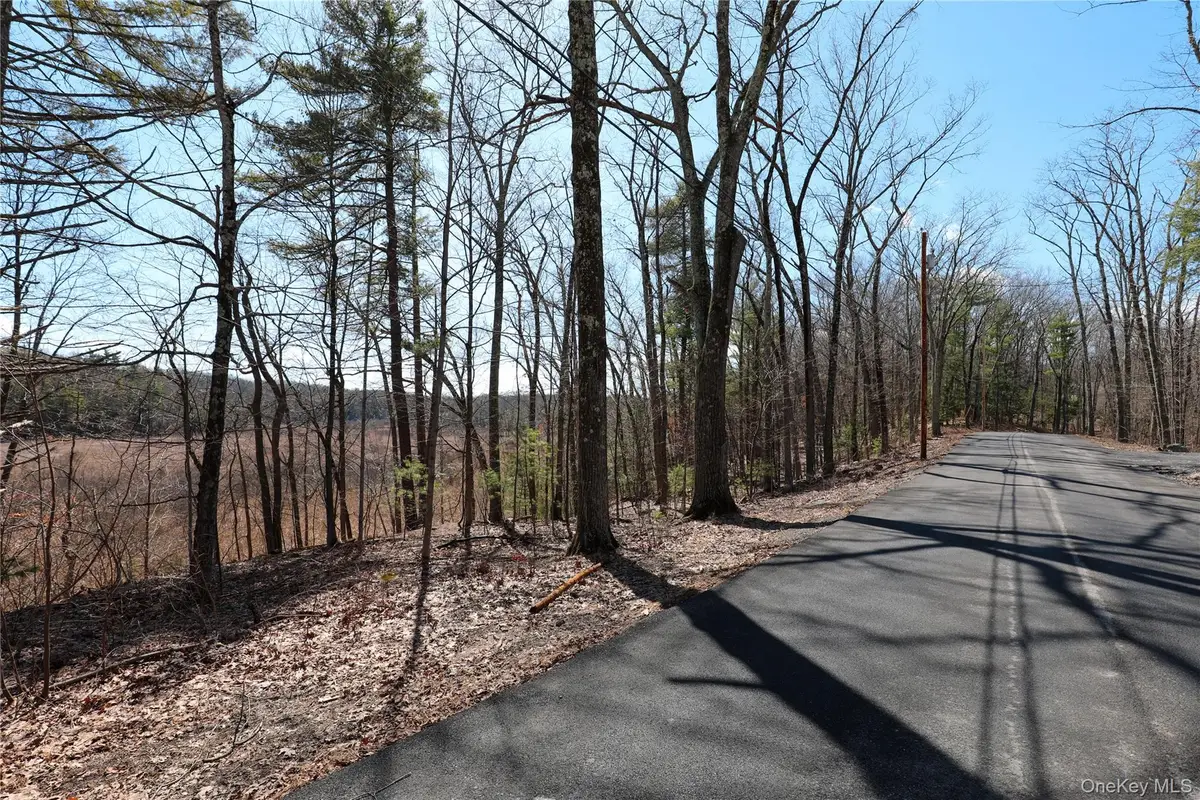 176 Lake Road, Lake Katrine, NY 12449 - #1