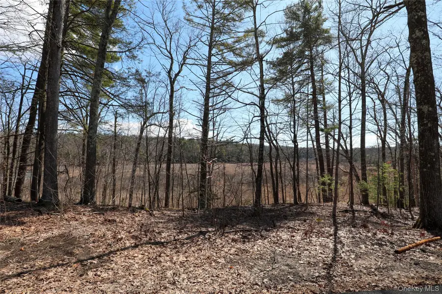 176 Lake Road, Lake Katrine, NY 12449 - #2