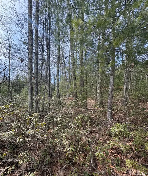 Bennett Road, Napanoch, NY 12458