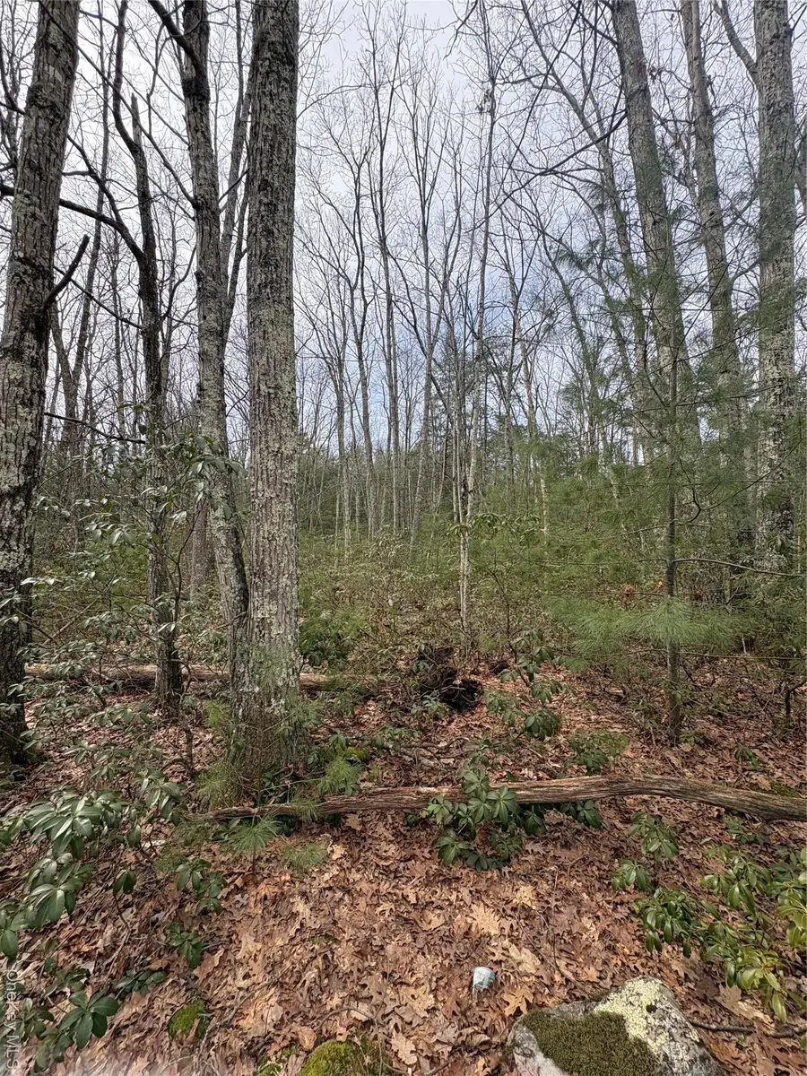 Bennett Road, Napanoch, NY 12458 - #2