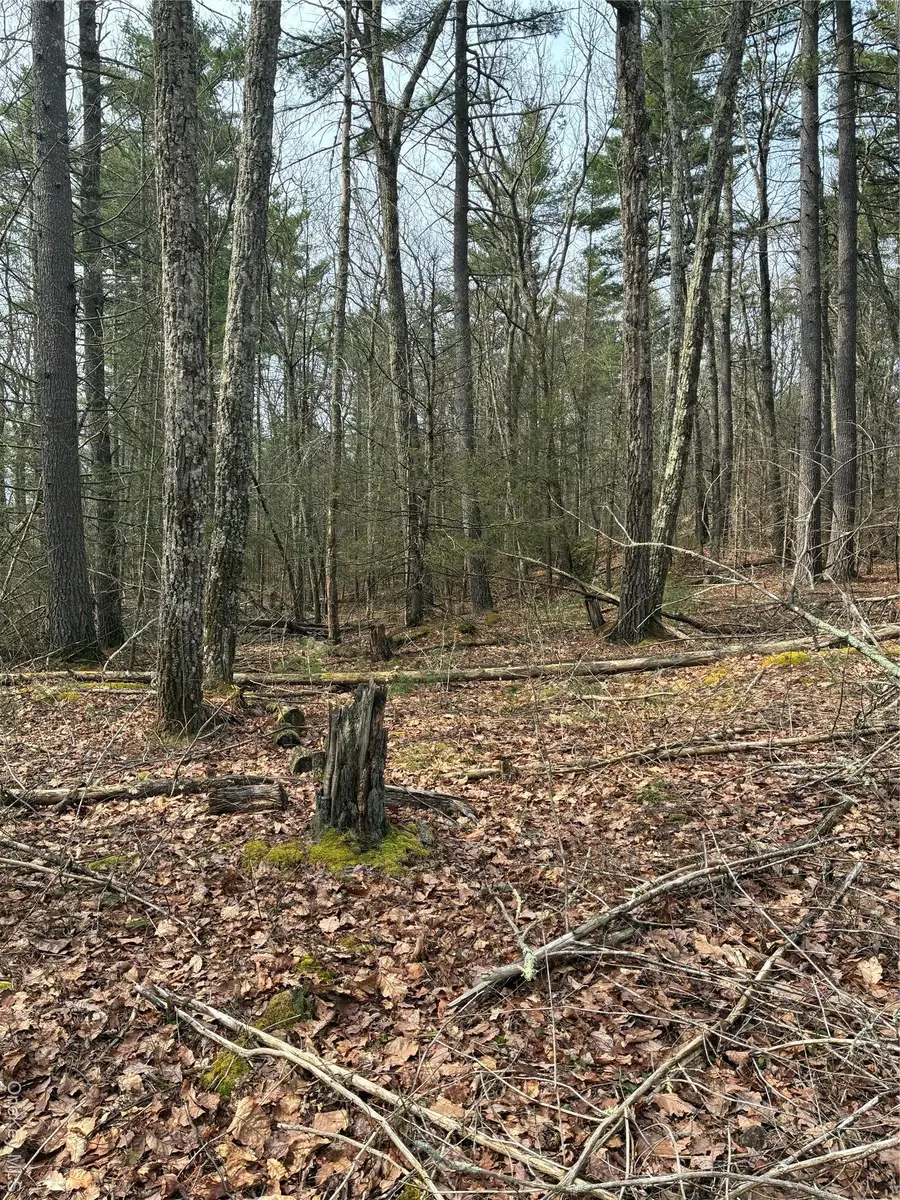 Rambling Road, Wurtsboro, NY 12790 - #3