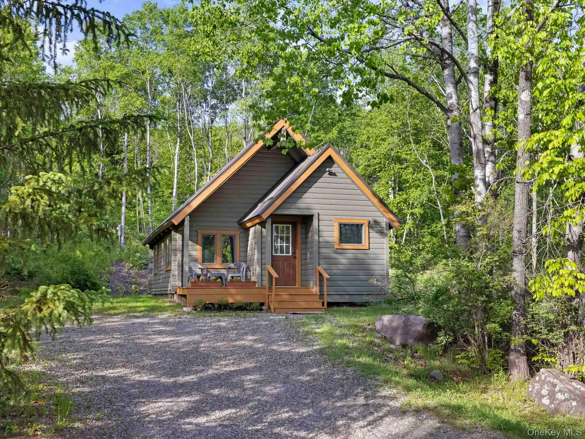 191 Mill Road, Margaretville, NY 12455 - #1