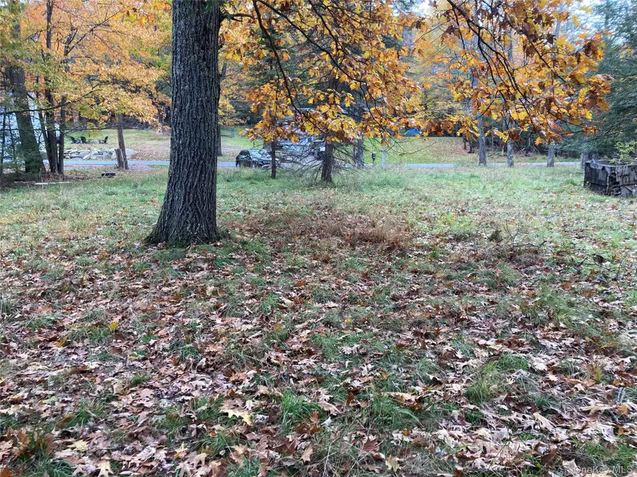 403 & 405 Rock Hill Drive, Rock Hill, NY 12775 - #3