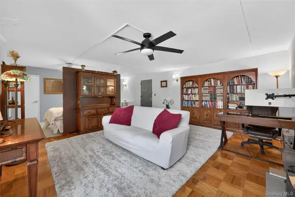 100 Clinton Avenue #3X, Mineola, NY 11501