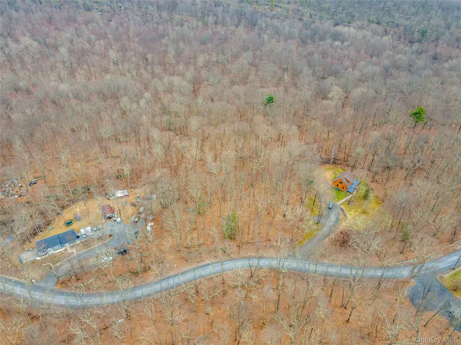 100 Lewis Lane, Wallkill, NY 12589 - #3