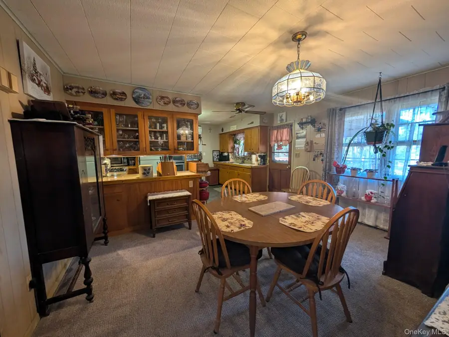 47 Forman Road, Cochecton, NY 12726 - #2